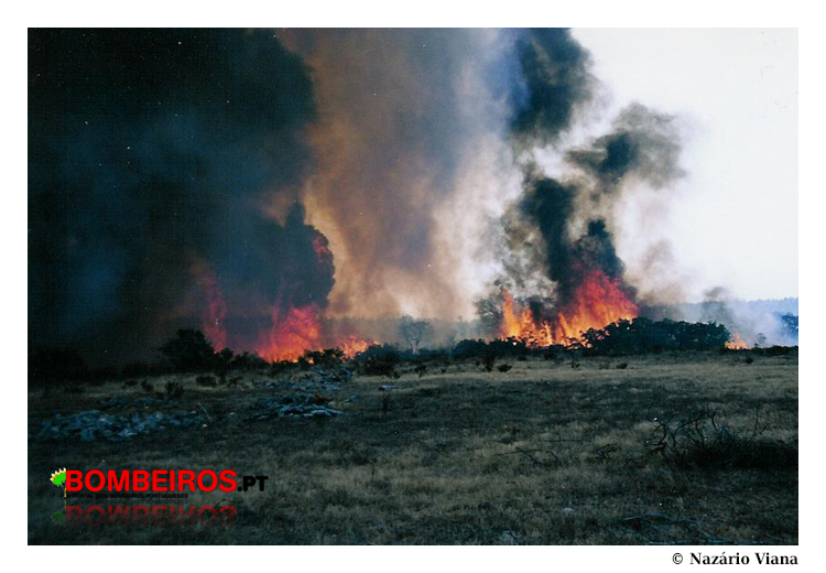Imagem 06