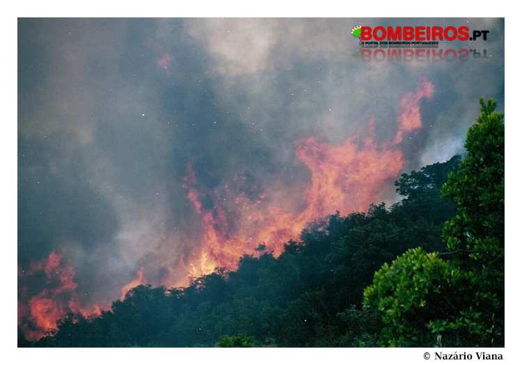 Imagem 07