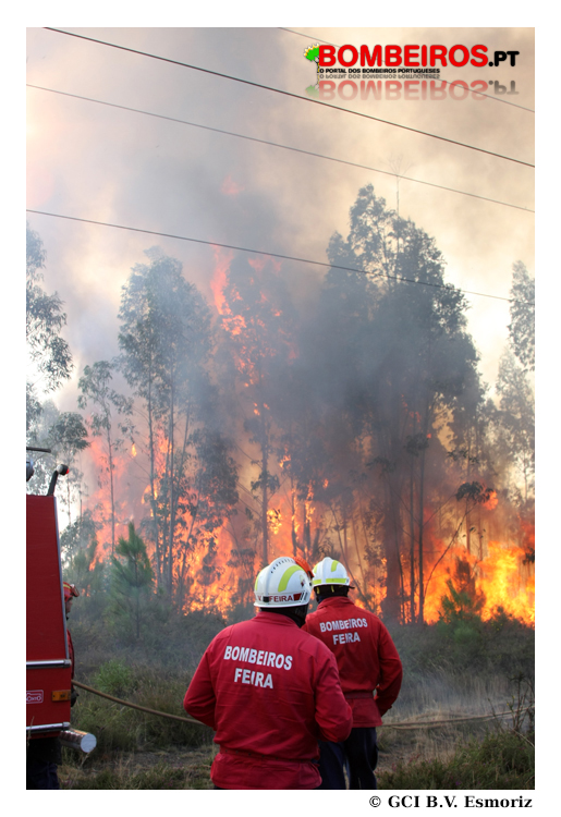 Imagem 41