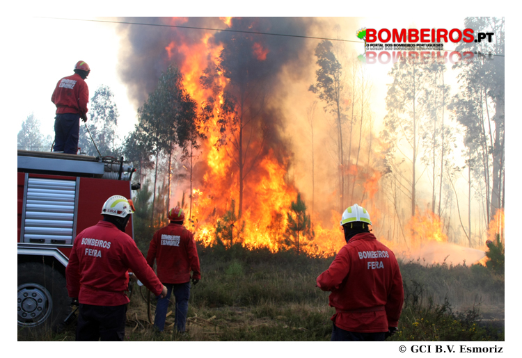 Imagem 46