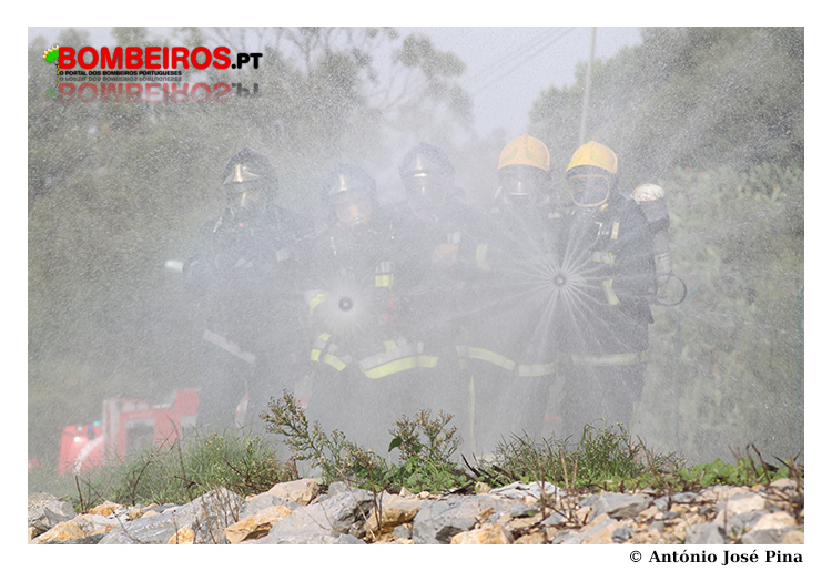 Imagem 21