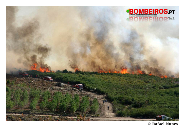 Imagem 16