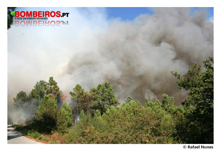 Imagem 10