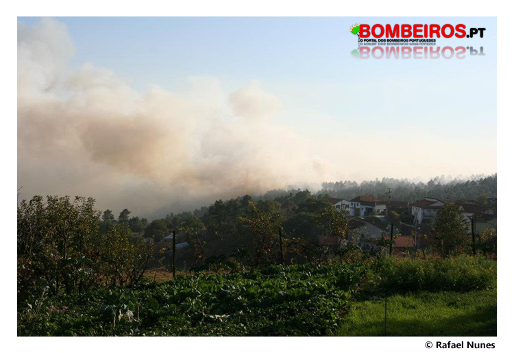 Imagem 13
