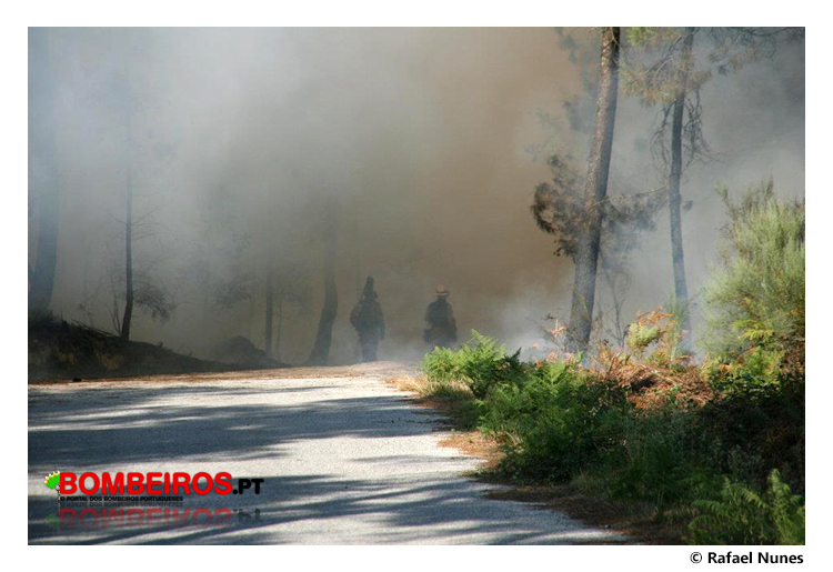 Imagem 07