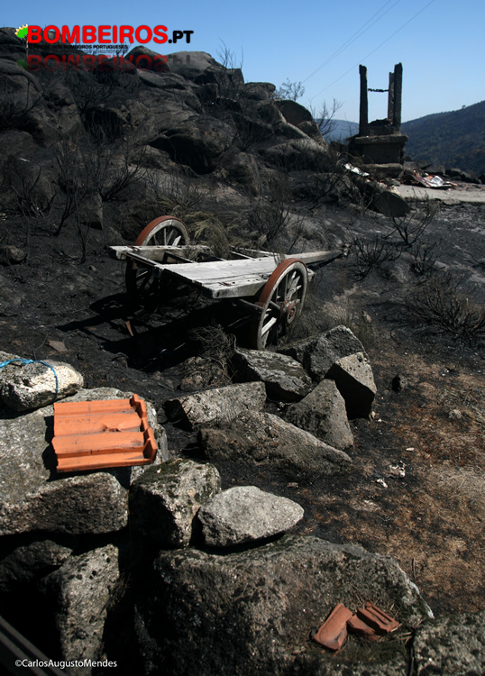 Mendes Carlos Quase tudo o fogo levou
