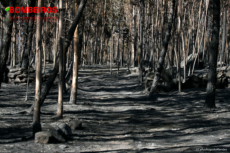 Mendes Carlos Tragédia do Caramulo