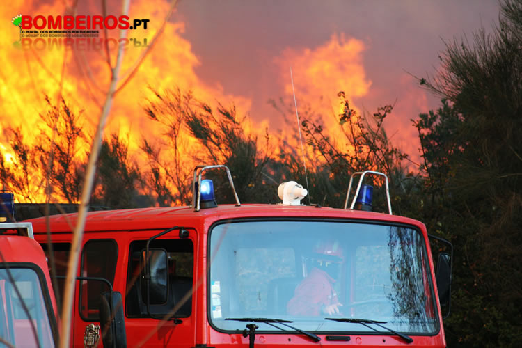 mitra antonio chamas.jpeg