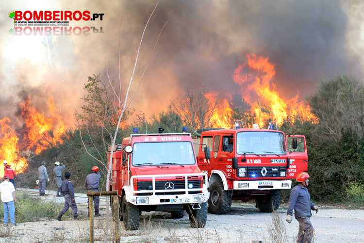 mitra antonio mar de chamas
