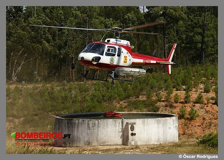 Imagem13708