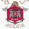 Fênix de Associação Humanitária dos Bombeiros Voluntários da Aguda
