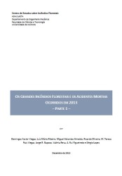 capa relatório 2013