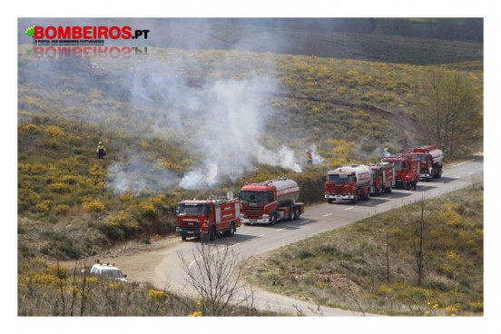 Videovigilância nas florestas de Coimbra e Viseu vai estar em funcionamento no verão