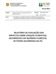Relatório de avaliação dos impactos sobre espaços florestais, decorrentes do incêndio florestal de Picões (Alfândega da Fé)