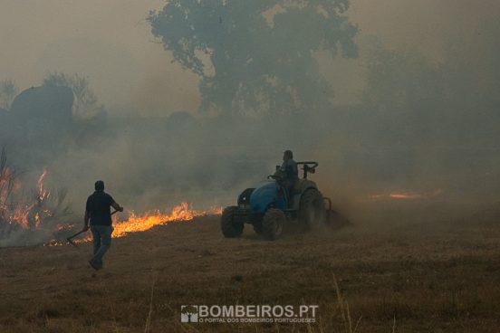 Veterinários querem integrar Proteção Civil e atuar em catástrofes
