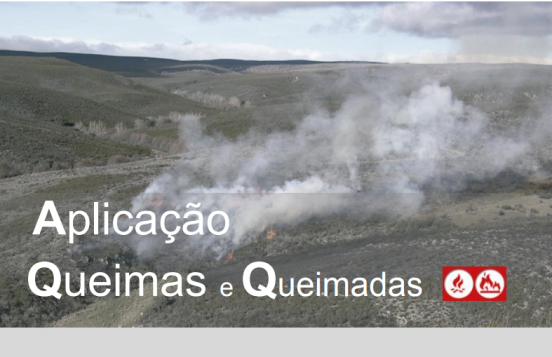 ICNF lança aplicação para Queimas e Queimadas