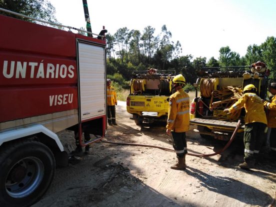 Empresas florestais preveem que “vai ficar muito por fazer” na limpeza de terrenos